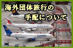 �C�O�c�̗��s�̎�z�ɂ���