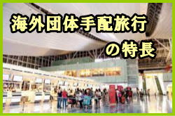 �C�O�c�̎�z���s�̓���